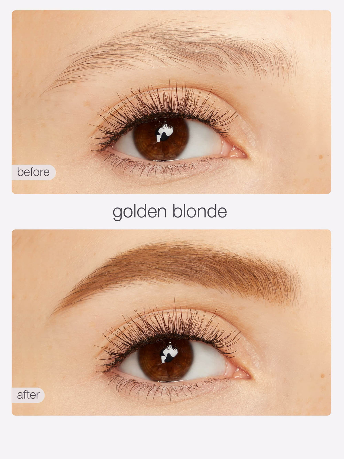 busy gal BROWS tinted brow gel